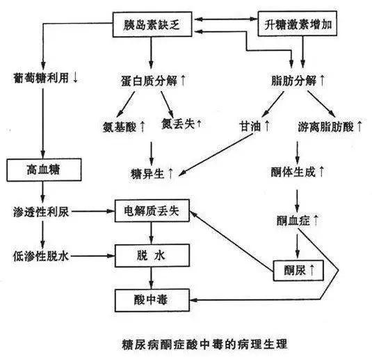 急性糖尿病并发症酮症酸中毒,什么症状是糖尿病酮症酸中毒