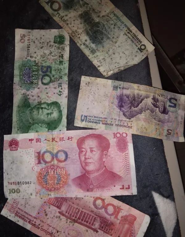 钞票发霉的快速处理方法,钞票有点发霉了怎么办
