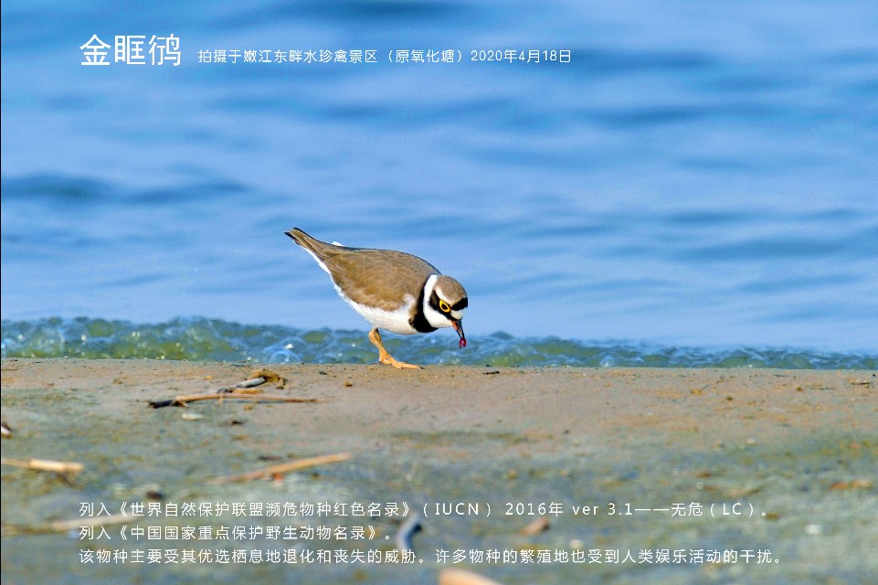 榻愰綈鍝堝皵瀚╂睙涓滄按鐝嶇鍏洯,榻愰綈鍝堝皵瀚╂睙涓滄按鐝嶇婀垮湴鍏洯