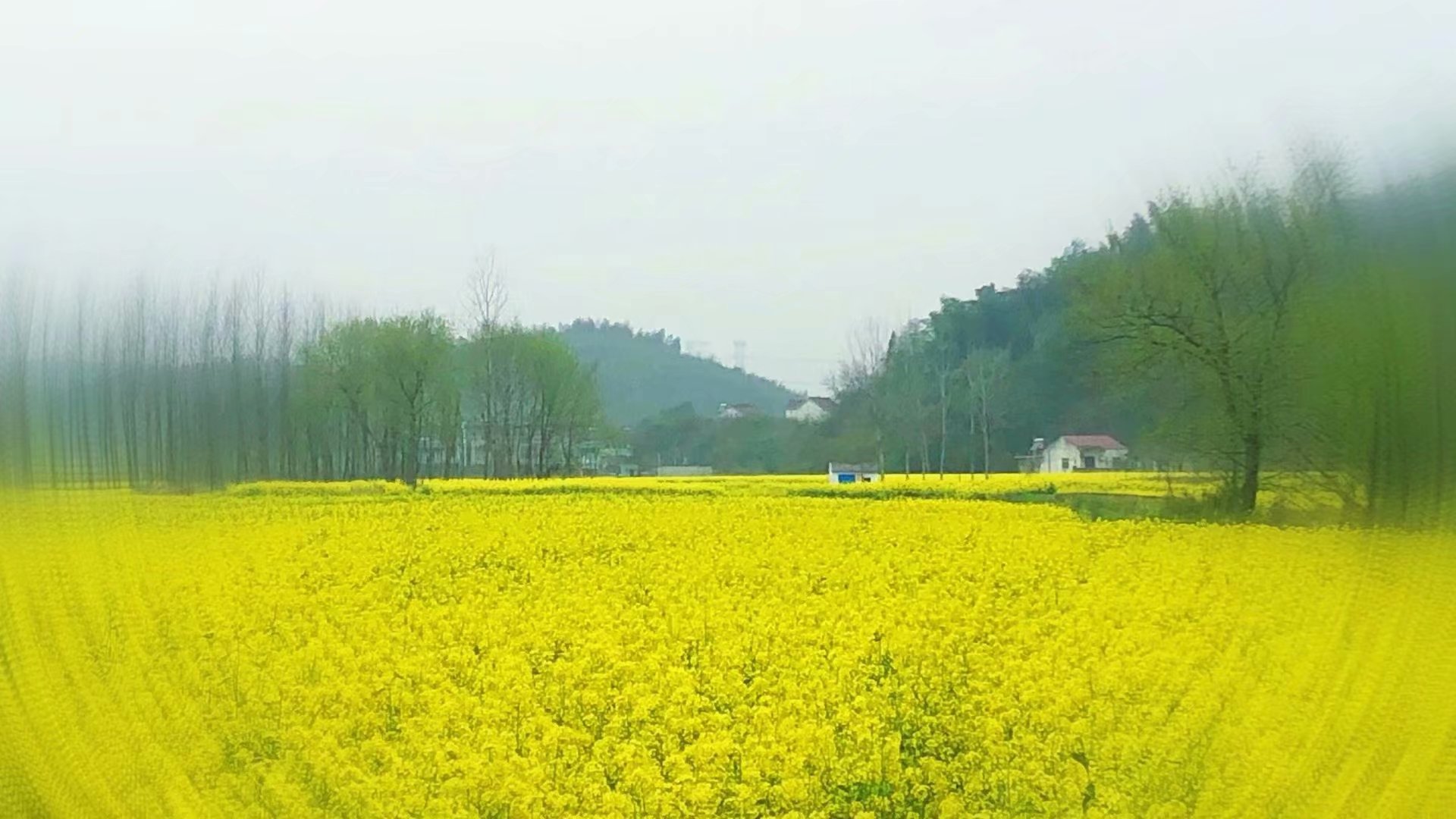 没必要伤春悲秋,时间不能停留