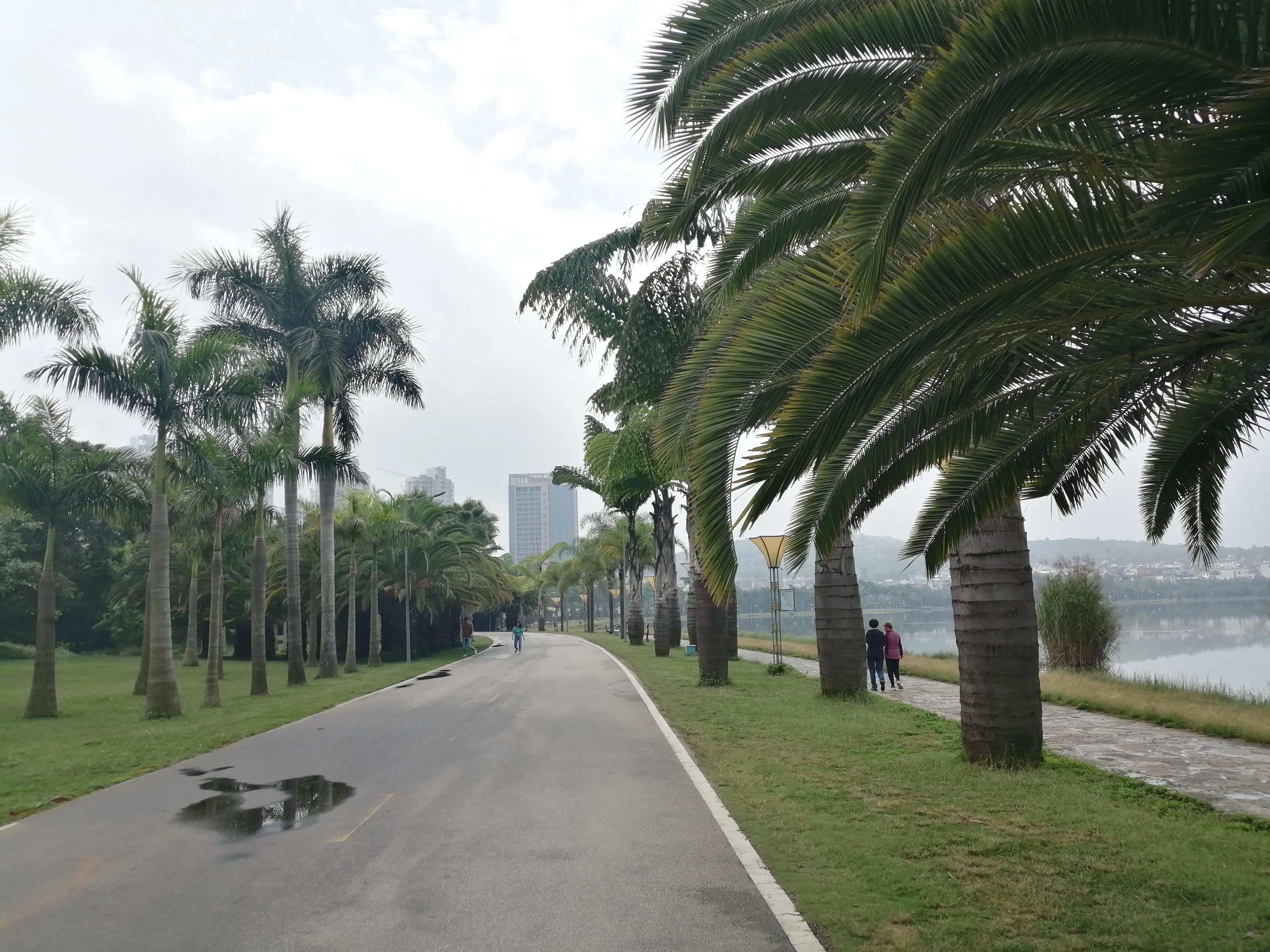 云南弥勒康养旅居包月,云南弥勒市60元包吃住宾馆酒店