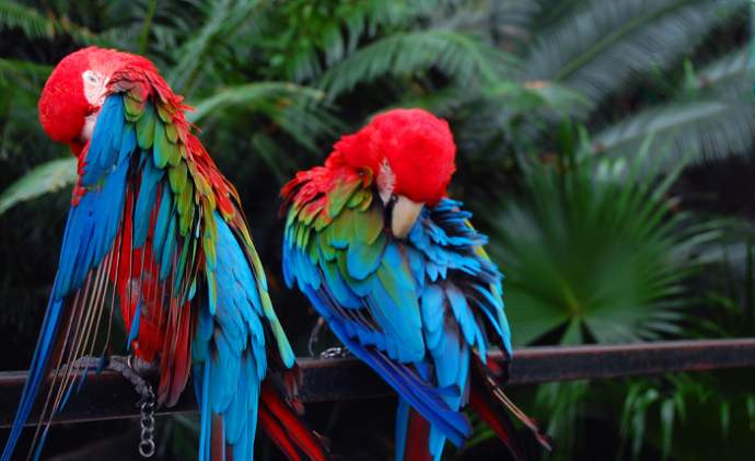 会然时尚——会然与香奈儿的链接1