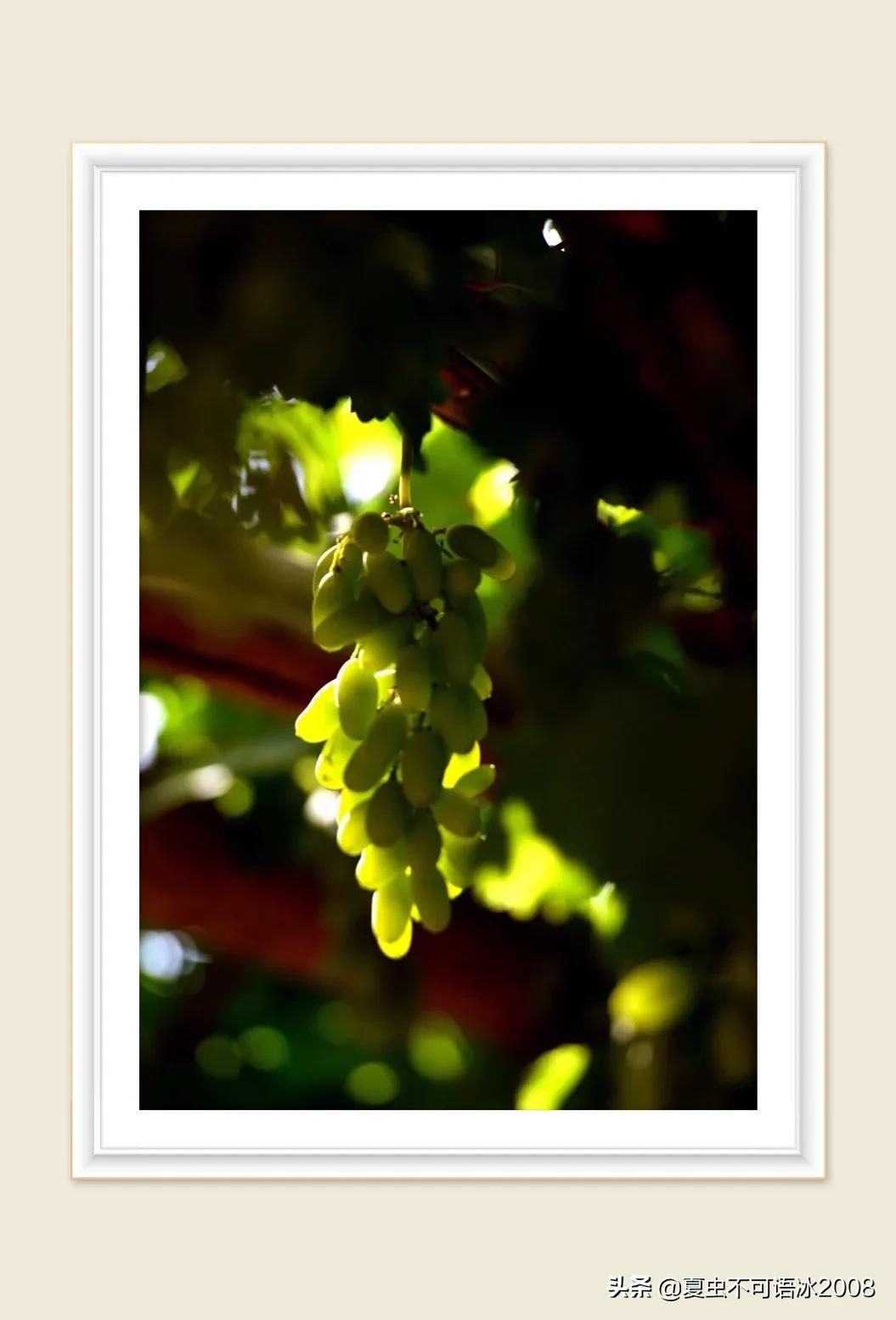 微课在物理教学中的应用,微课在物理教学中的应用论文