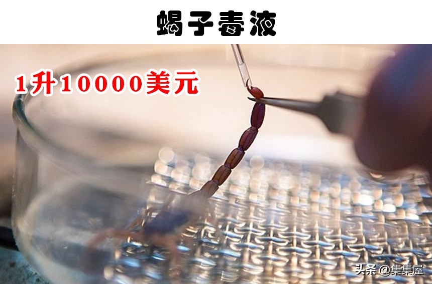 十种最贵的液体,世界上最值钱的十种液体