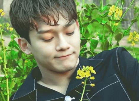 exo正规七辑exist预告吴世勋,exo吴世勋黄金渔场