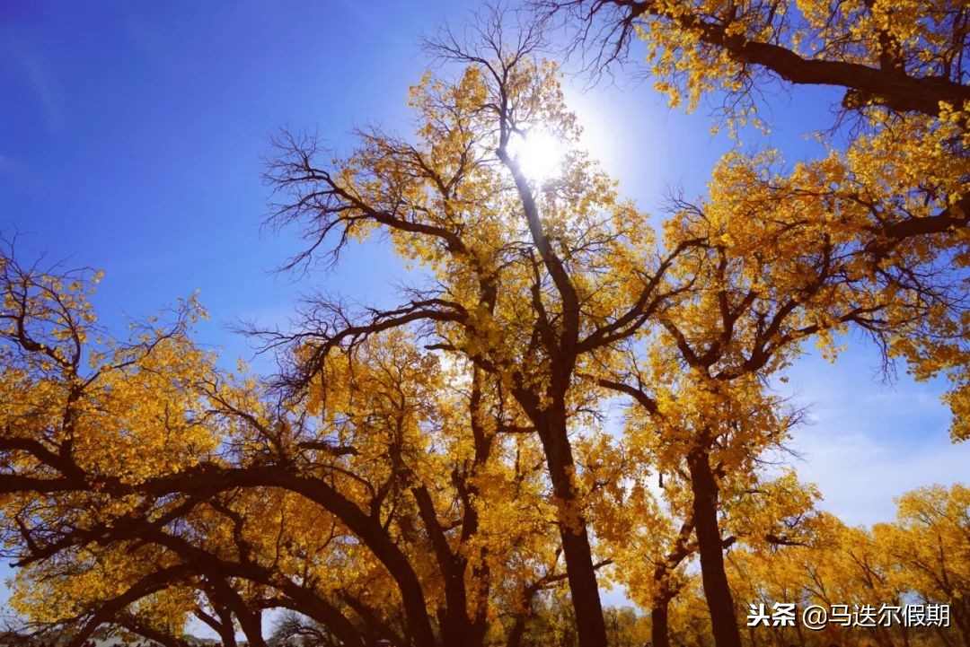 2018年春节拼假攻略,拼假14天最佳时间表