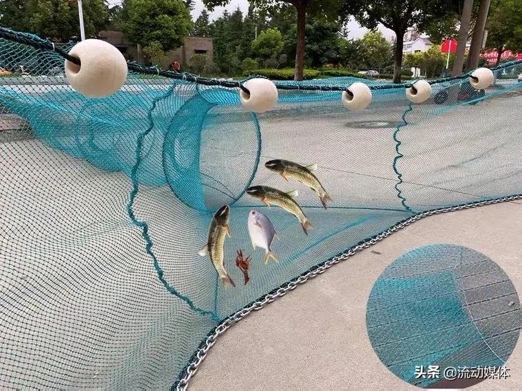 海鲜本身有多鲜,海鲜捕捞知识