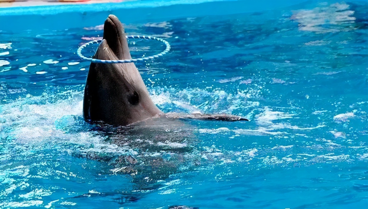 天津免费景点大集合,天津蓟州必去十大免费景点