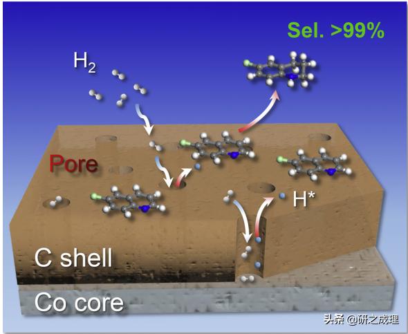 催化周报：Science、JACS、Angew、AM等大合集