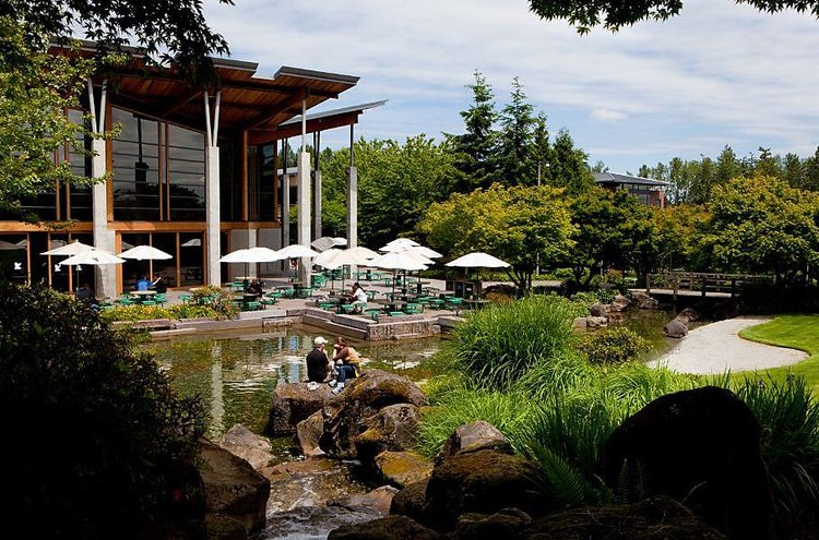 20家含金量最高的科技公司,国内最有前景的科技公司有哪些