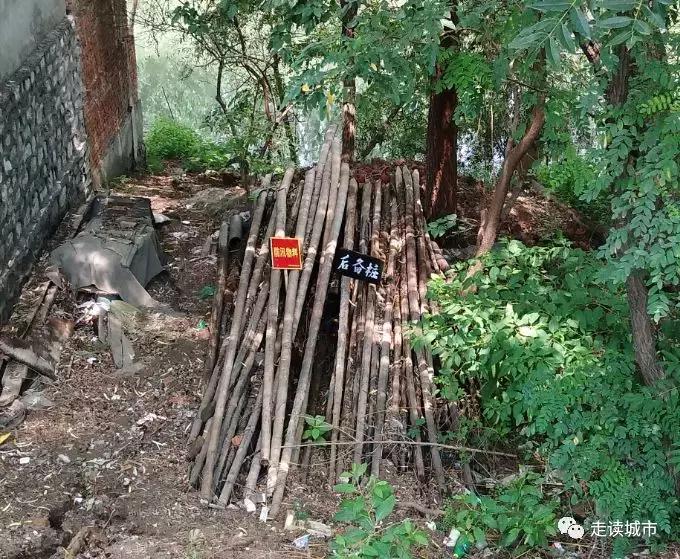 走读城市之易县,走读城市之河南中牟