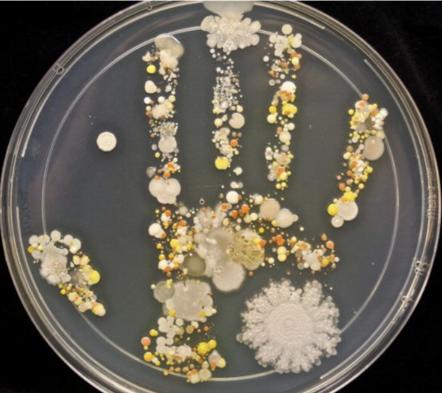 小孩身上起湿疹能用艾叶水洗么,孩子脸上起湿疹可以沾水吗