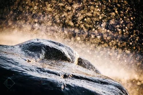 为什么训练前要放松筋膜,训练筋膜怎么训