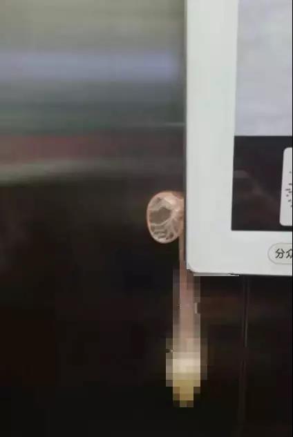 缺德！男子电梯内的龌蹉举动，惹怒业主