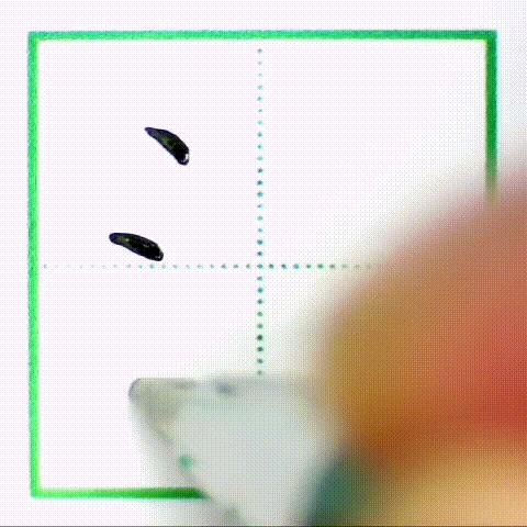 二年级下册写字表带拼音组词,小学二年级语文下册写字表全部