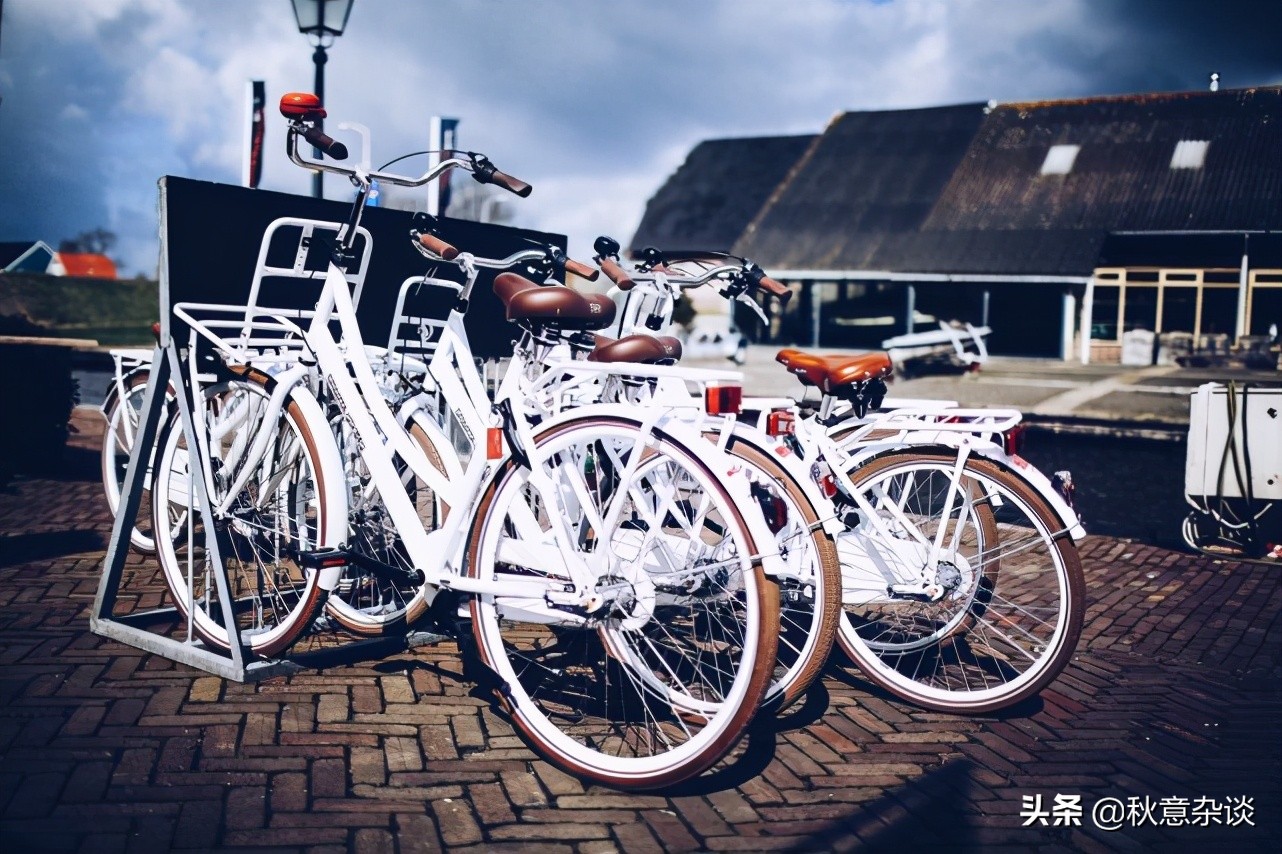 荷兰首都阿姆斯特丹什么出名,荷兰首都阿姆斯特丹街头漫步