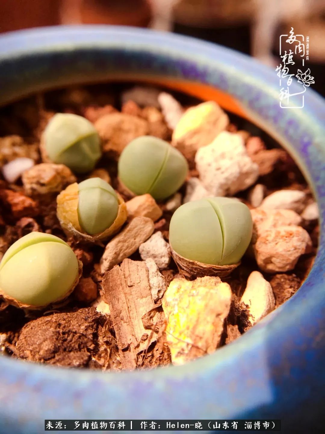 人到中年温暖如初,人到中年岁月静好