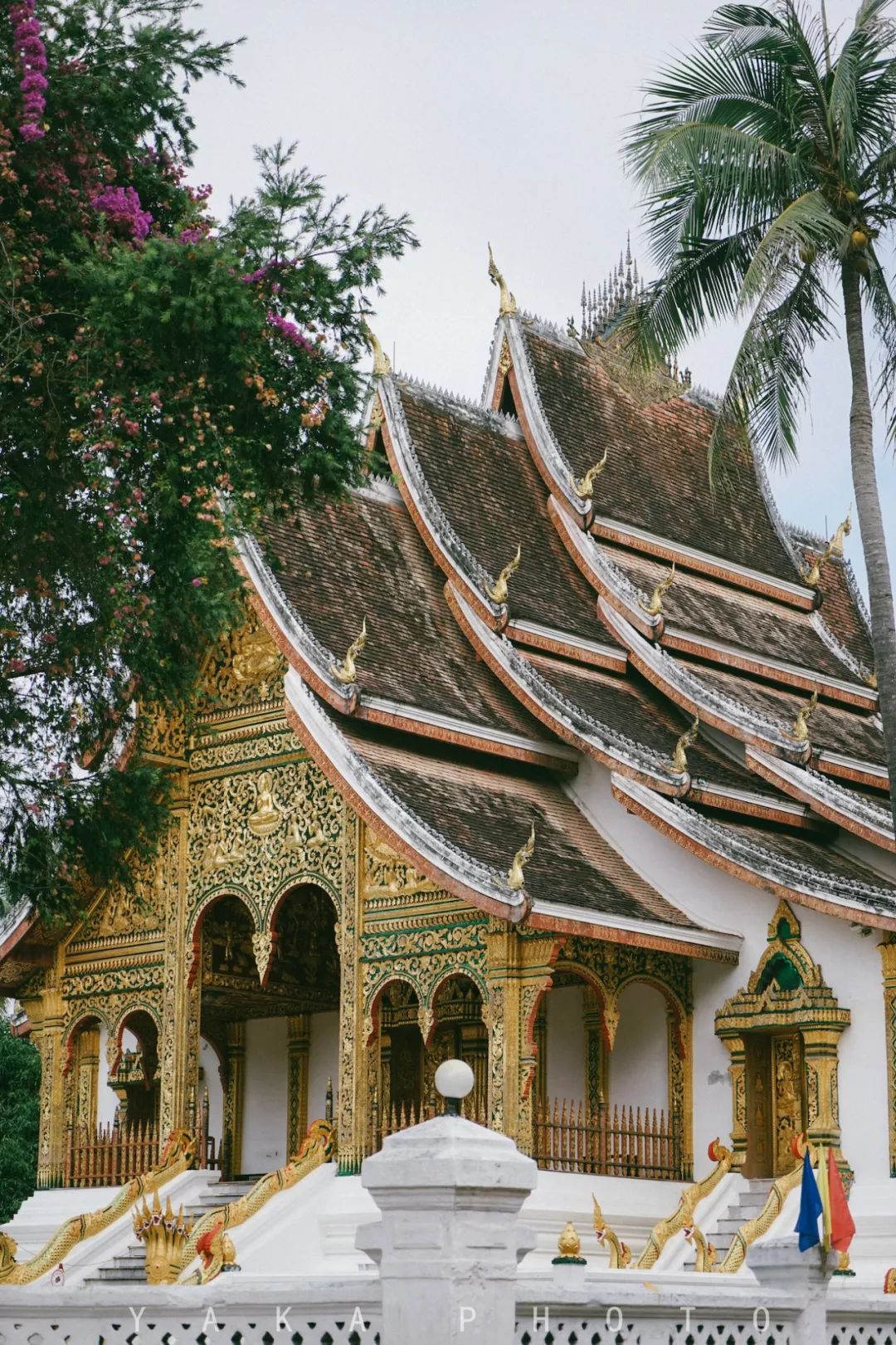 昆明自驾老挝超详细攻略,昆明老挝一日游