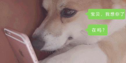 聊完“处女情结”之后，我的评论区被攻陷了……