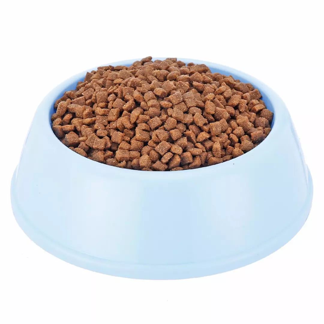 关于EGC身为铲屎官的你知多少?各种皮肤病都可能是EGC!