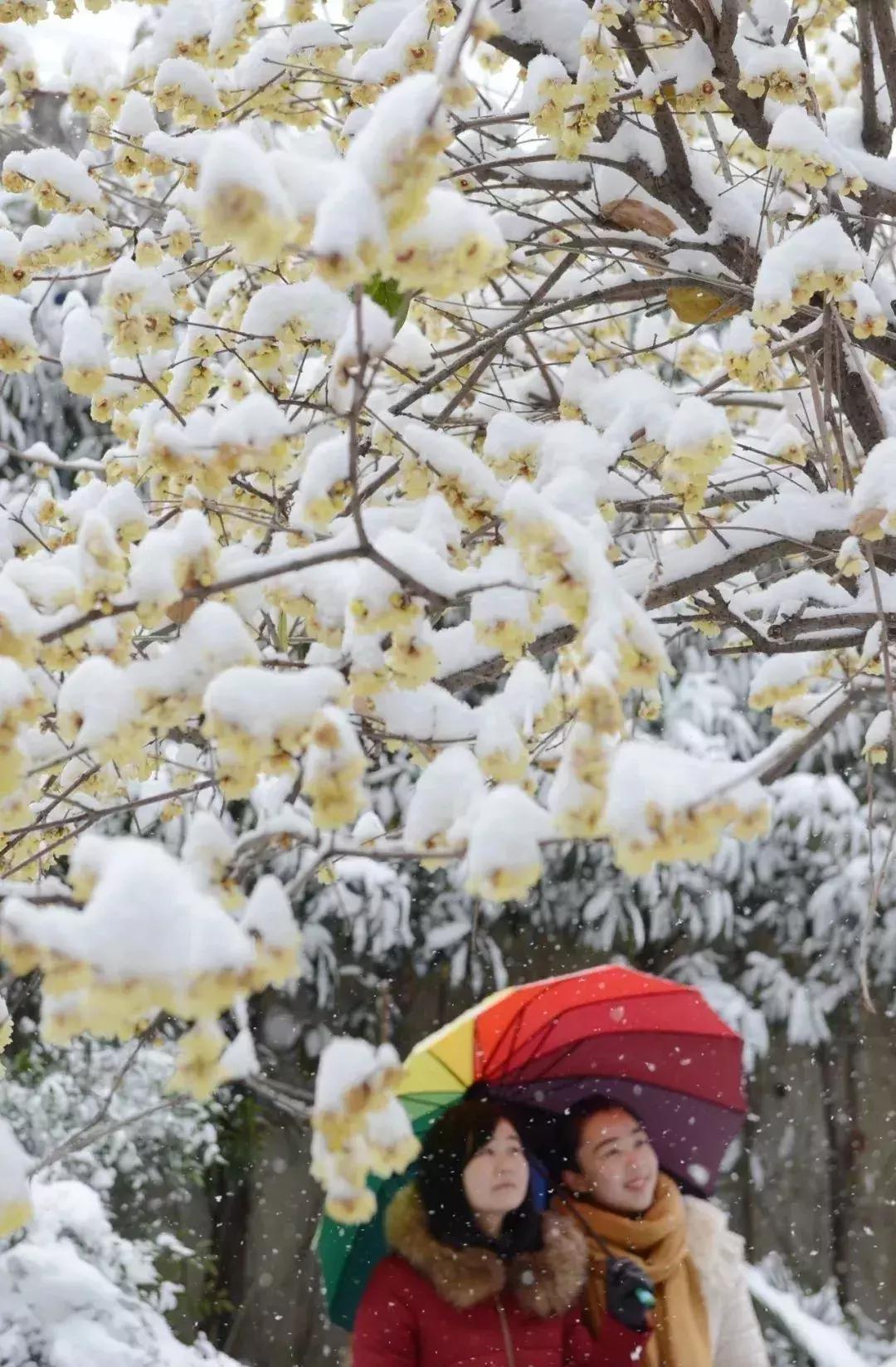 中国“林海”，你可能还不知道，这是一个低调很久了高颜值县城！