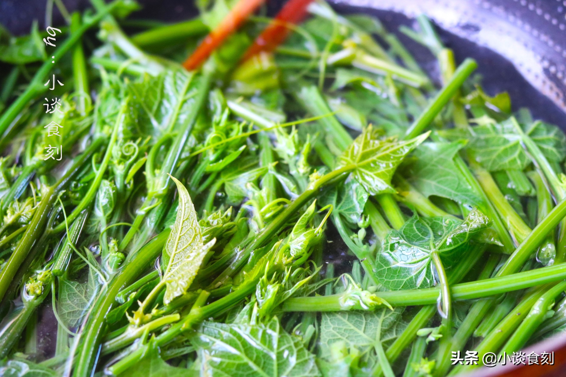 凉拌什么苗好吃又营养呢,什么菜苗可以凉拌好吃