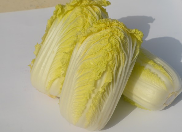 叶菜品类表,叶菜类一览表