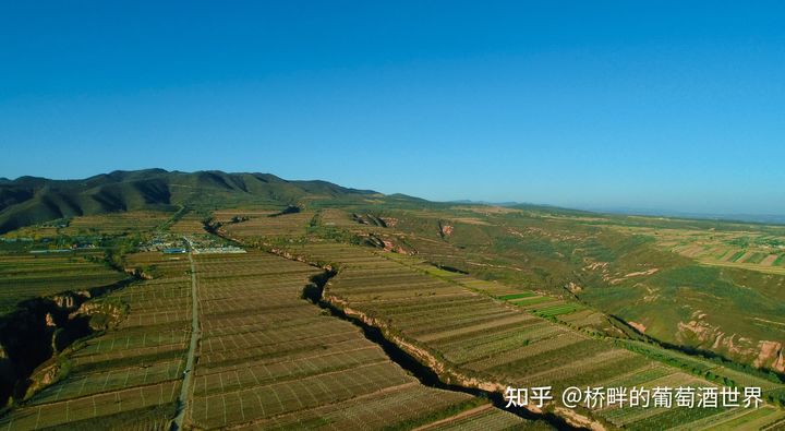 国产葡萄酒有哪些好喝,国产100左右的葡萄酒推荐
