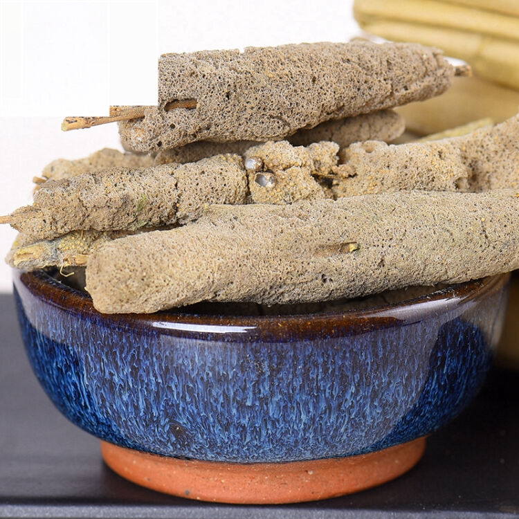 紫梢花，又名淡水海绵，能补肾，益精，助阳