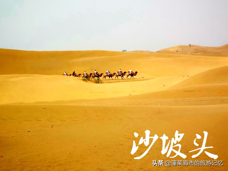 宁夏沙坡头旅游攻略,宁夏沙坡头游记