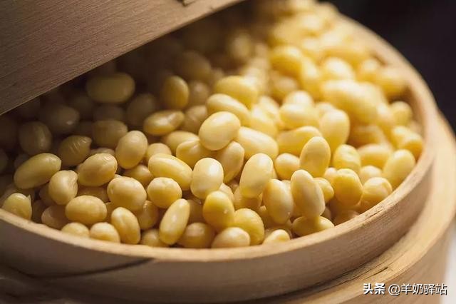 五谷杂粮蛋有什么营养价值,五谷杂粮大米饭的营养价值