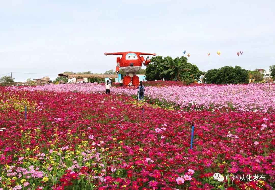 这个暑假去哪个地方玩不热,这个季节去从化有什么好玩的