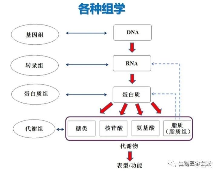 生物信息学入门的87个名词,一张表看懂生物信息学