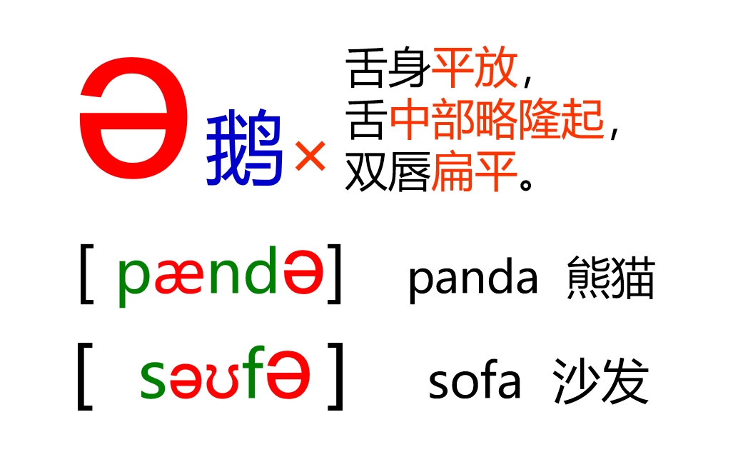 48个音标全套卡片作用,英语音标卡片48个正确发音嘴型