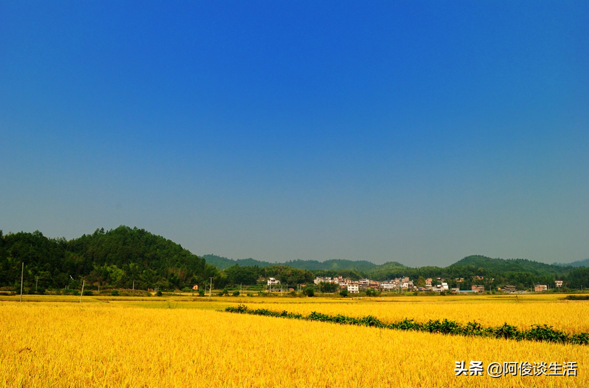 我忘记的不是qq密码而是梦想,qq密码忘记了我曾经的梦想也丢了