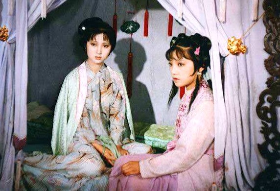 雪雁的寓意和象征是什么,雪雁和紫鹃的区别