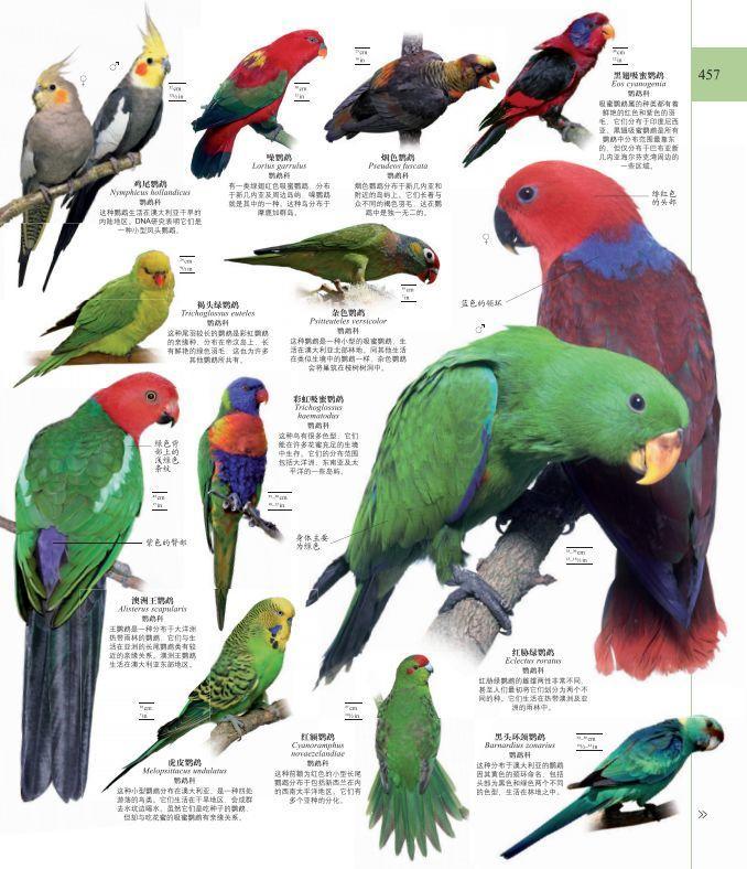 dk系列书籍六岁孩子适合入手哪些,dk儿童认知书推荐