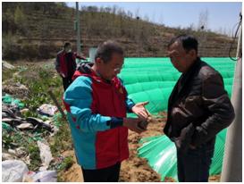 姜苗防病药,姜苗用啥药防治害虫