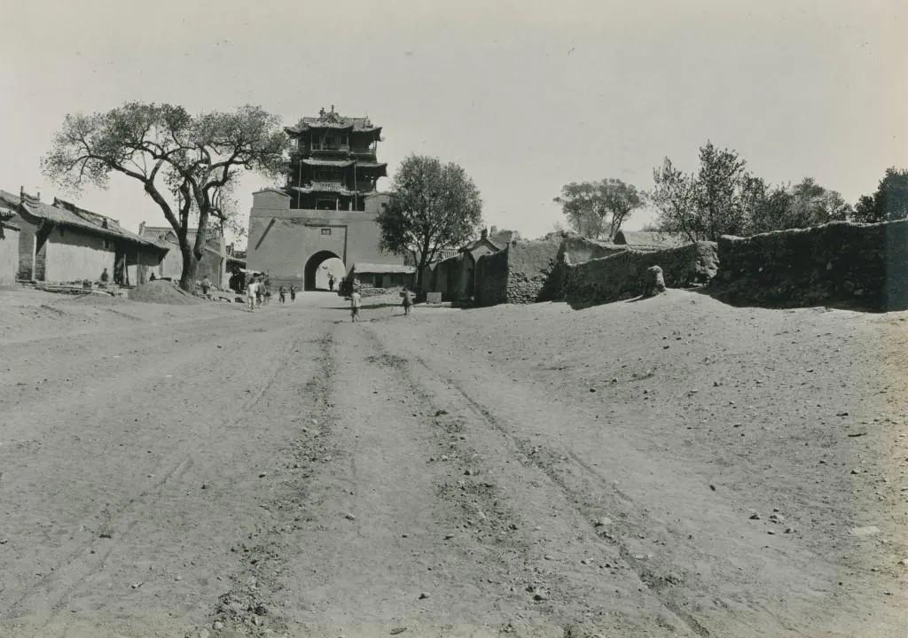 若愚被抛弃,若愚抖音完整版甘肃