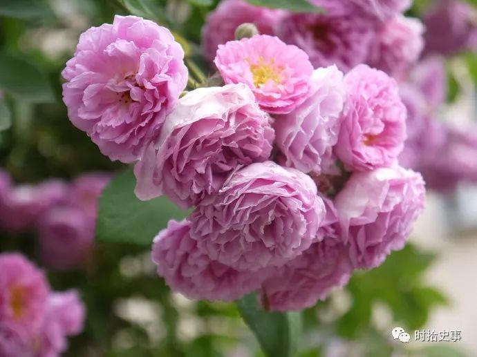 古人卡了鱼刺怎么办?