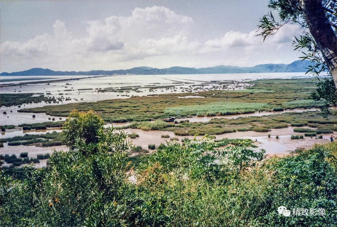 拾光汇影|第七期·珠海三灶湾