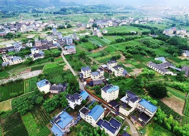 土地确权后，你要成为这五种人才能保住你的土地