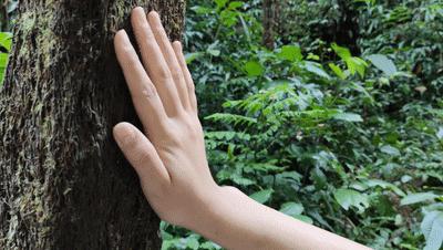 赤水大瀑布 侏罗纪公园 (贵州赤水侏罗纪公园攻略)