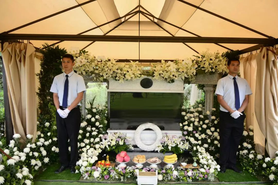 骨灰是什么东西,骨灰主要是什么元素