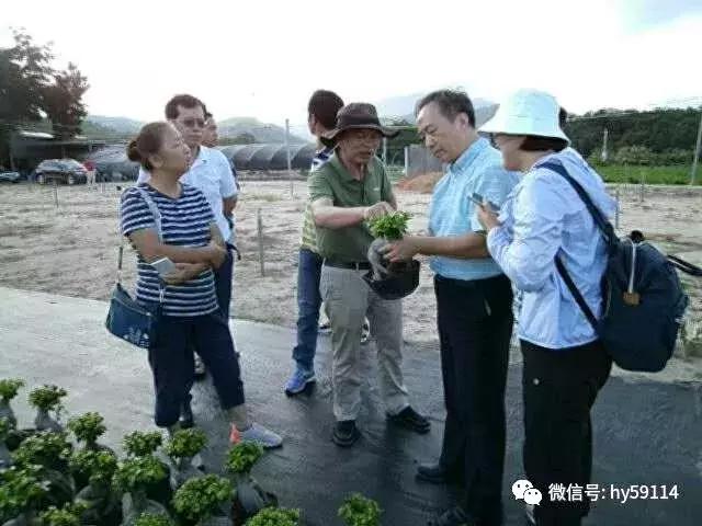 榕树、苏铁从欧盟禁止进口的目录清单中移除