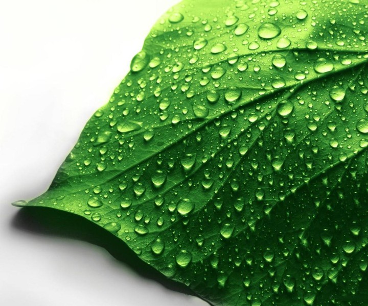 积极的情绪给人带来的好处,一个稳定的情绪和良好的态度