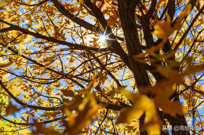 从沈阳去三亚旅游攻略路线推荐图,沈阳旅游攻略三日游最佳路线