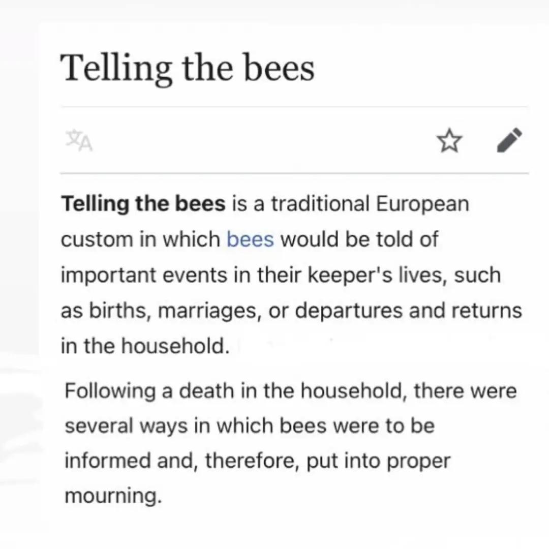 无聊的人类做着无聊的事,因为无聊大家会做出什么事情来