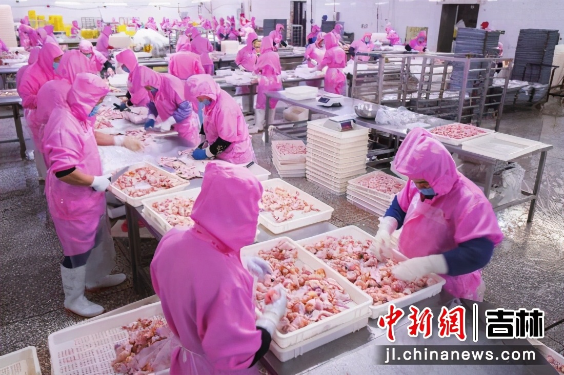 吉林省德惠市近几年发展,吉林德惠最新规划