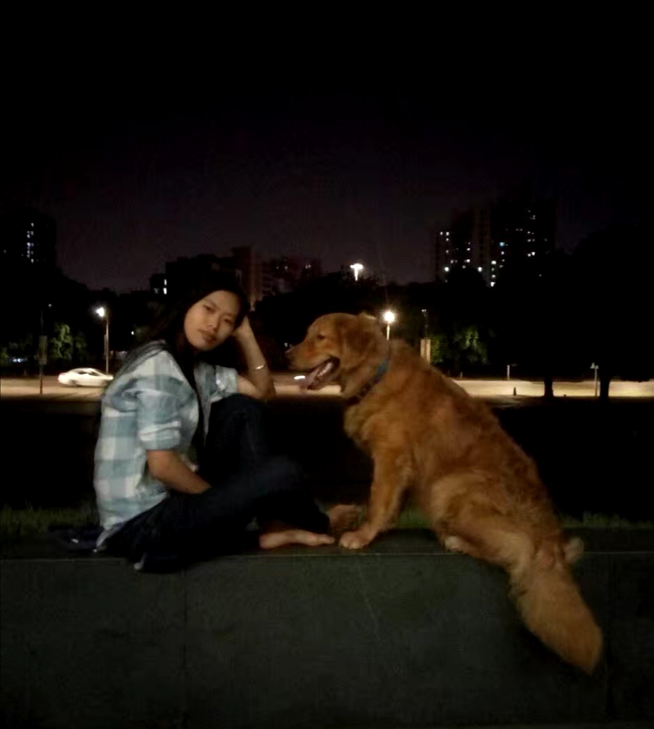 狗狗上厕所训练,狗狗随地大小便怎么办金毛